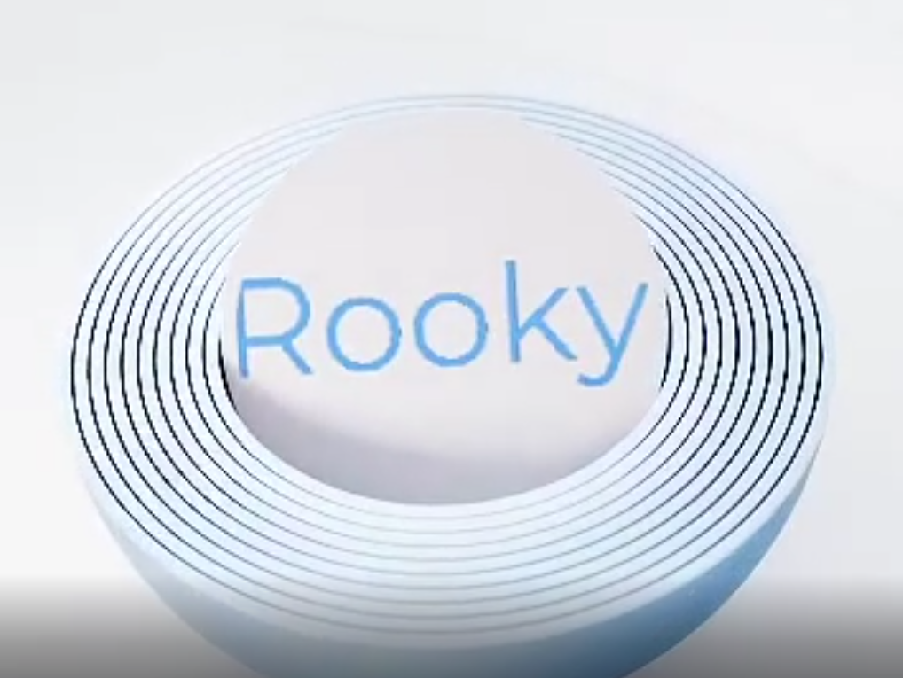 Logo Rooky